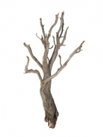 Ghostwood Raw 90cm (tijdelijk uitverkocht)